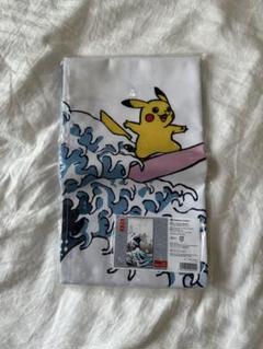 しろがね山　暖簾　ポケモン　のれん　ピカチュウ　なみのりピカチュウ しろがね山 暖簾 ポケモン のれん ピカチュウ なみのり