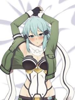1073 SAO シノン 抱き枕カバー secret Amazon.co.jp: 616 SAO シノン 抱き枕カバー secret : ホビー