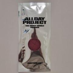 ALLDAYPROJECT ターザン FAMOUS CARTOON Ver.韓国