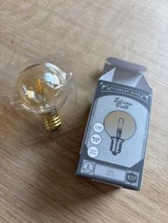 LED電球 (エジソンランプ)