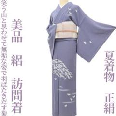 美品 夏着物 正絹 絽“夏を案内する翼となる菊や萩、菖蒲や桔梗