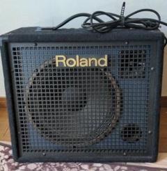 2025年最新】roland KC-100の人気アイテム - メルカリ