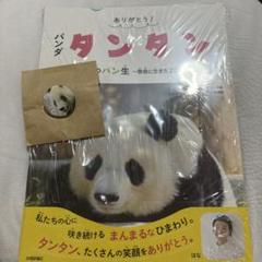 【レア】タンタン　王子動物園　5点セット　パンダ　グッズ　新品未開封含む美品 CATEGORY 王子動物園関連グッズ | 神戸新聞オンラインショップ