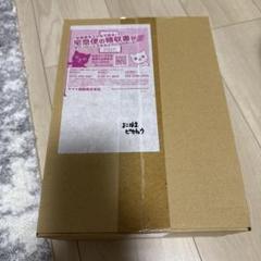 2025年最新】ポケモンワールドチャンピオンシップス2023横浜