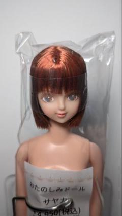 2025年最新】おたのしみドール サヤカの人気アイテム - メルカリ