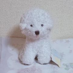 新品タグ付　ジェラートピケ　ビションフリーゼ　上下セット　即購入OK gelato pique ジェラートピケ ビションフリーゼ プルオーバー