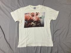 ユニクロ　半袖　メンズ　レディース　Tシャツ　荒木　アラーキー　UT