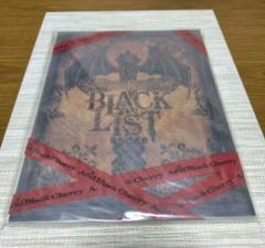 ブラックリスト Acid Black Cherry パンフレット