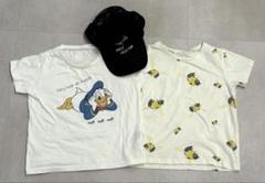インセクトコレクション Tシャツ 帽子セット Lサイズ
