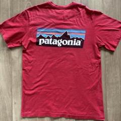 patagonia USA製 オーガニックコットン Tシャツ Sサイズ