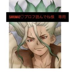 Dr.STONE 枕カバー 石神千空 獅子王司 Dr.STONEより抱き枕カバー、等身大タぺ、B2タぺ、アクスタ、缶