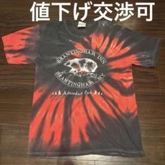Hanes vintageTシャツ