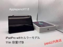 iPad Pro 11in 1TB + Apple pencil