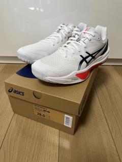 SKY ELITE FF 3 28.0cm スカイエリート　新品