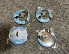 城崎マリンワールド限定　海獣　缶バッチ