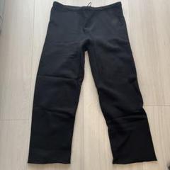 yzy gosha vultures gap kanye west平本蓮 - メルカリ