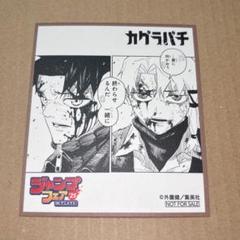 カグラバチ 初版 シュリンク未開封 新品 書店特典 アニメイト