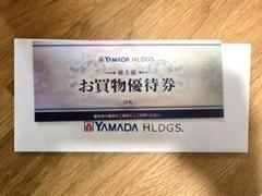 ヤマダホールディングス お買物優待券 10枚 5000円分のサムネイル