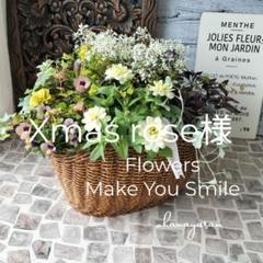 No.340 Xmas rose様専用 寄せ植え 花 - メルカリ