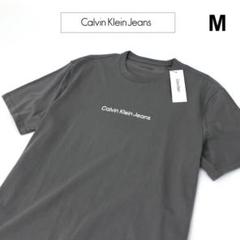 Calvin Kleinカルバンクライン【センターロゴ】Tシャツ/CT57M