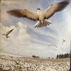 SEYCHELLES 高中正義 12インチレコード　LP 高中正義 Seychelles レコード - メルカリ