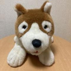 2022年最新】パトラッシュ ぬいぐるみの人気アイテム - メルカリ