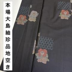 k-5722 本場大島紬 珍品 地空き 能 正絹 袷 広衿 着物 m51965496650_1.jpg?1713936291