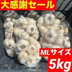【お得セール】青森県産にんにく 5kg M 福地ホワイト 加工 激安 お得 青森県産にんにく 5kg M 福地ホワイト六片 お得 加工おすすめ