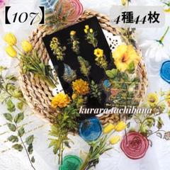 【B】フローラルハートシェルライト♡PETステッカー15枚♡コラージュ素材♡ 新品❣️ 静寂の潮音シリーズPETシールコラージュ素材ステッカー