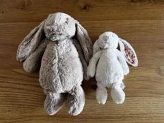 jellycat ぬいぐるみ　ジェリーキャット