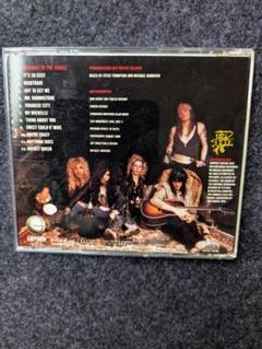 Guns N' Roses Appetite for Destruction