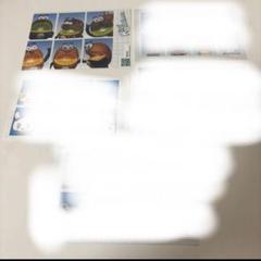 キウイ 証明写真シール