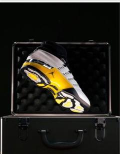 Air Jordan 17 Retro Low Pro Lightningのサムネイル