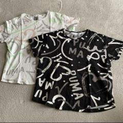 プーマTシャツ 2枚セット
