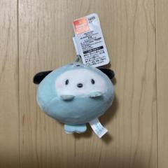 サンリオ　ポチャッコ まんまるアザラシ マスコット　新品未使用