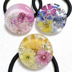 ⑧⓪レジンヘアゴム。3個セット。マトリカリア。ビオラ。ノース