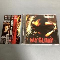 【初回盤CD+DVD】MY GLORY／FUNGUS｜TRACY｜ファンガス