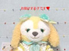 クッキーアン 20周年 カラフルハピネスポージープラッシー バケパ ディズニー カラフルハピネス 20周年記念 クッキーアン ポージープラッシー