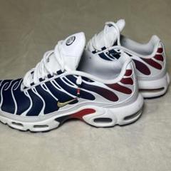 【未使用】Nike エアマックスプラス paris airmax plus