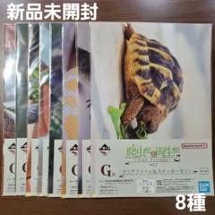 一番くじ　爬虫類&両生類　G賞 クリアファイル&ステッカーセット 8種