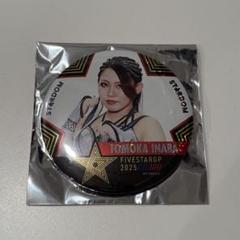 スターダム くじ　BIGアクリルスタンド　フィニッシュ賞　トレーディング缶バッジ スターダム くじ フィニッシュ賞 アクリルスタンド6種セット