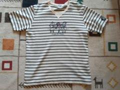 シナコバ LUPO DI MARE/ルポ ディ マーレ 前V半袖Tシャツ LL