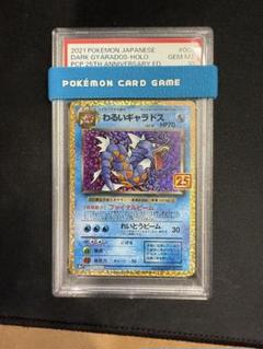 2025年最新】ギャラドス psa10の人気アイテム - メルカリ