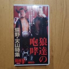 プロレス VHS 闘魂V 蝶野正洋 天山広吉 特集 VOL.34