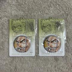 レイリー 缶バッジ＆特製ホルダーコレクション ONE PIECE