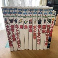 小学館図鑑NEO17冊【バラ売り不可】 本