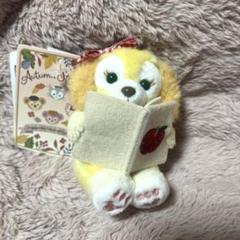 新品　ダッフィーアンドフレンズ　オータムストーリーブック　ぬいぐるみキーホルダー ダッフィー&フレンズ オータムストーリーブック クッキーアン