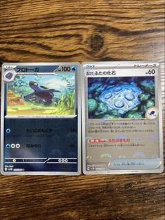 プロトーガ　ふたの化石