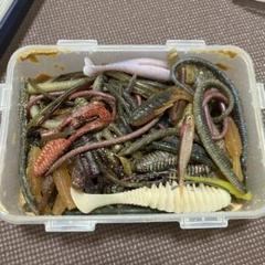 NORIES - 巧み漬け3セット　平成29～現在　5年もの NORIES - 巧み漬け3セット 平成29～現在 5年ものの通販 by T's