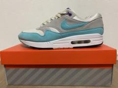 NIKE AIR MAX 1 ANNIVERSARY Aqua 28.5cm